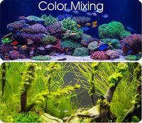 Color management / colour mixing