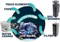 Substituição da água com o Comline® Reefpack: