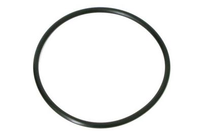 O-ring seal 110 x 5mm