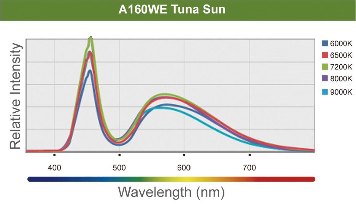 LED A160WE Tuna Sun