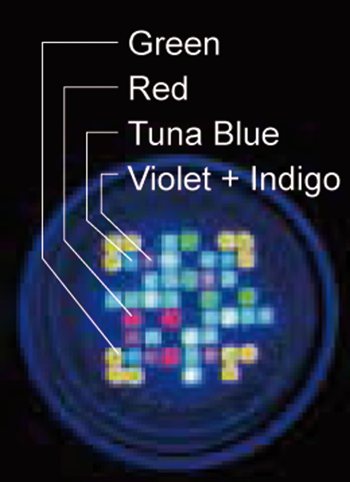 LED A360X Tuna Blue