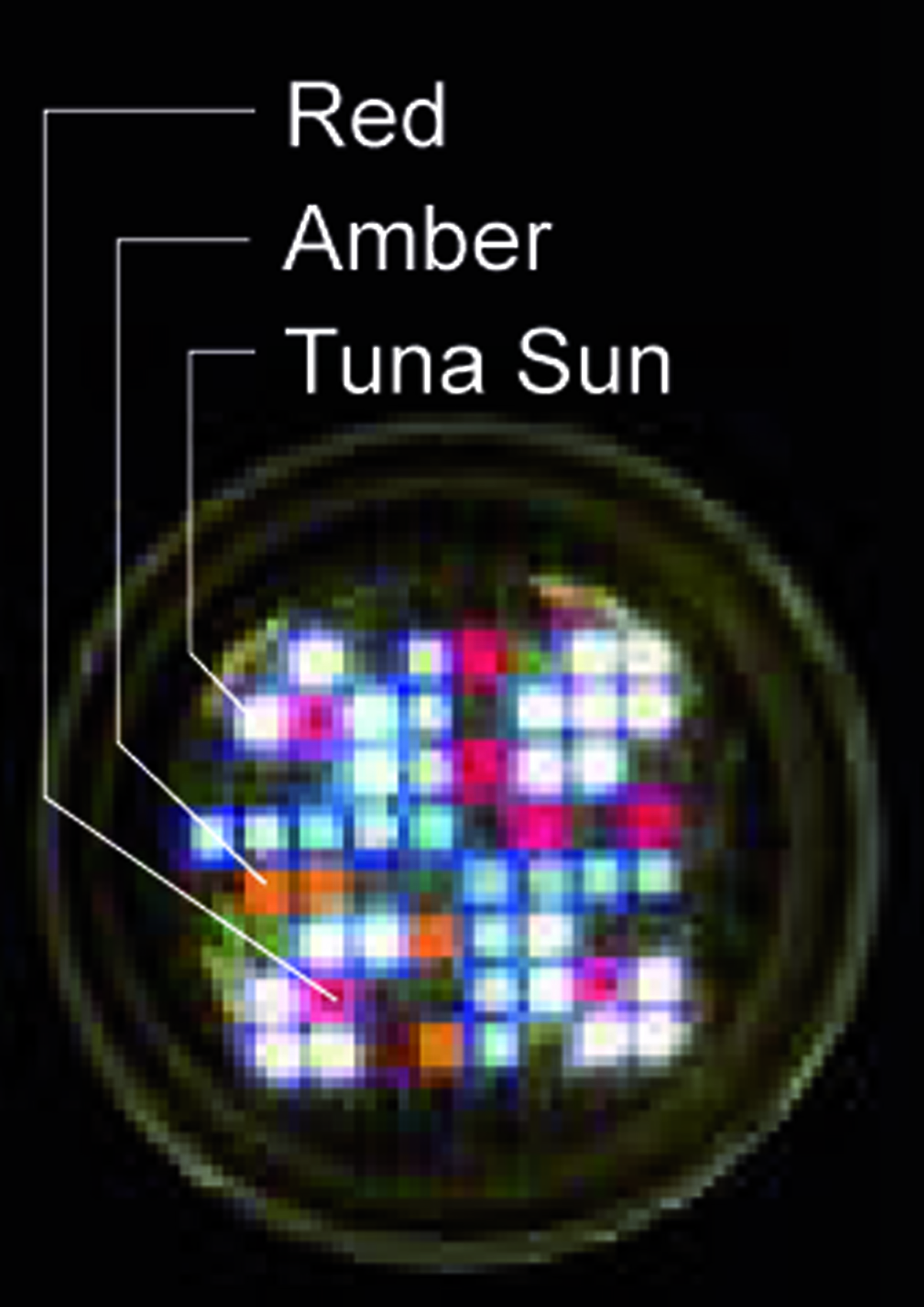 LED A360X Tuna Sun