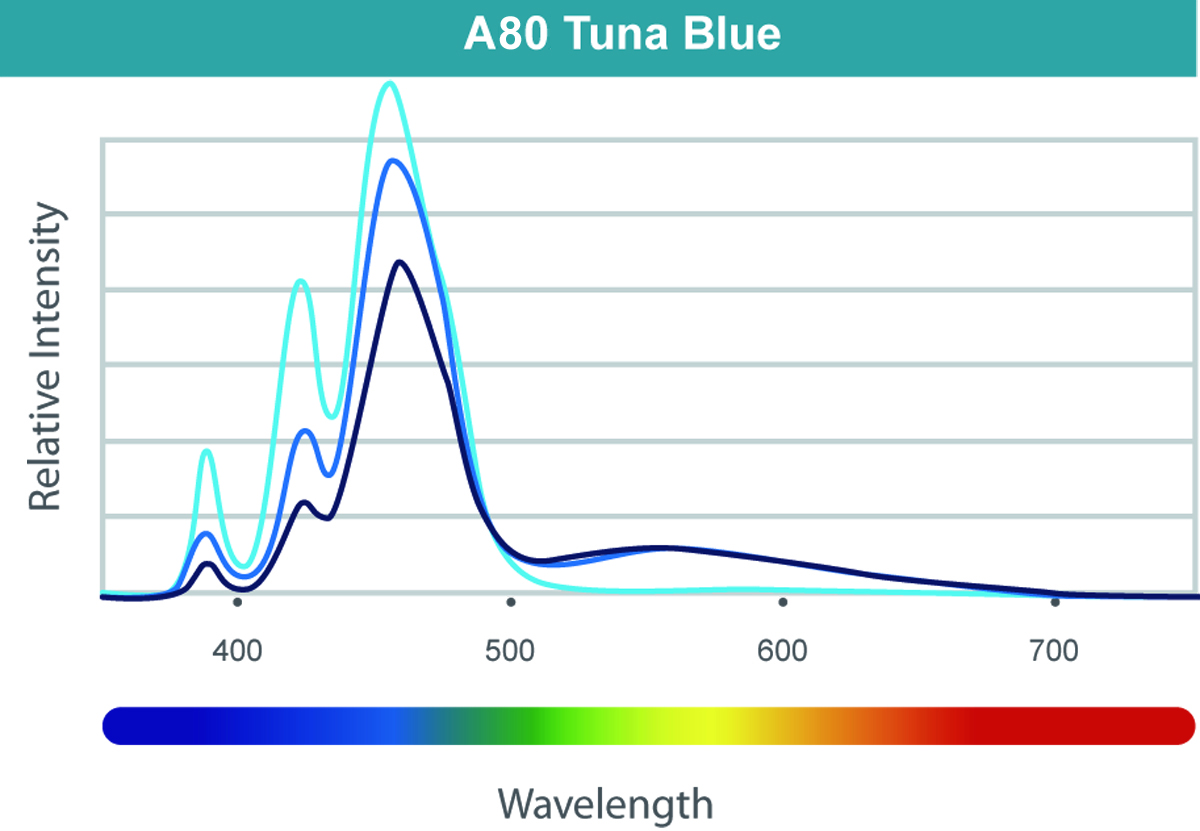 LED A80 Tuna Blue