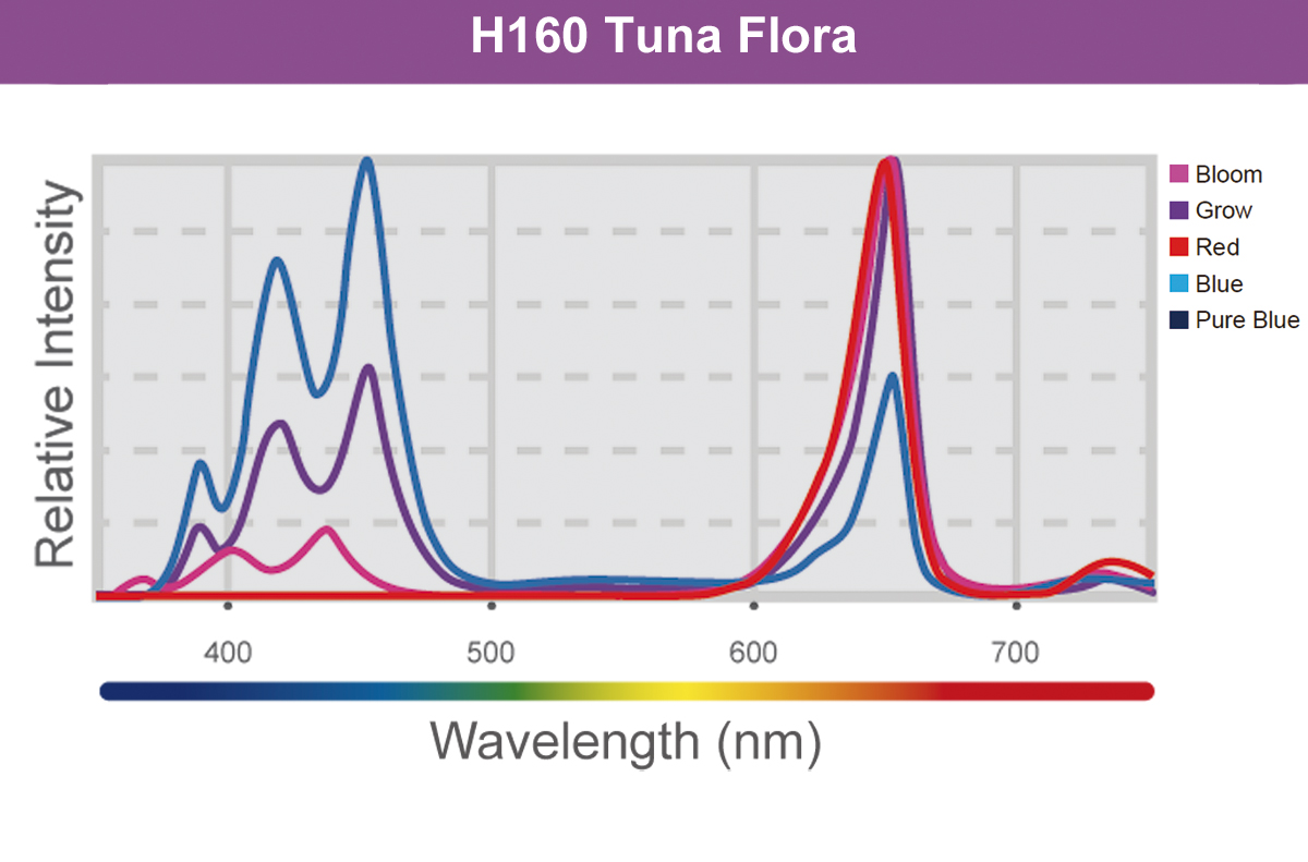 LED H160 Tuna Flora