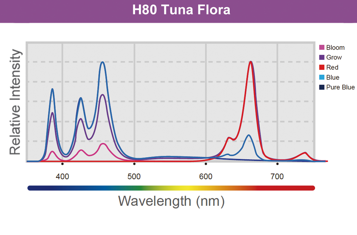 LED H80 Tuna Flora